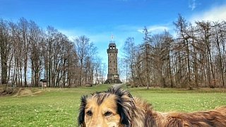 Tier der Woche im Kreis Herford: Jetzt abstimmen!