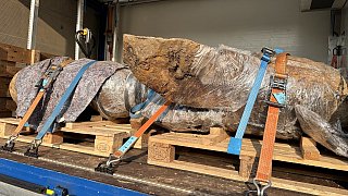 Bielefeld: Sechsfache Bombenentschärfung in Schildesche