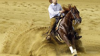 Die Unterschiede zwischen Western- und Englischreiten