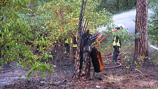 Waldbrand im Rhedaer Forst gelöscht