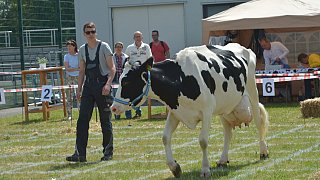 Geduldsprobe beim Kuhfladen-Roulette in Gütersloh