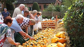 Steinheim: Öko- und Bauernmarkt in Ottenhausen