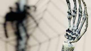 Bielefeld: Halloween an der Wertherstraße und am Boulevard