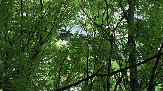 Rettungseinsatz abgestürztes Segelflugzeug in Porta