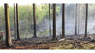 Lichtenau: Waldbrand nahe Kleinenberg
