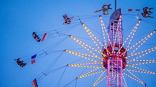 Pollhans-Markt ist gestartet