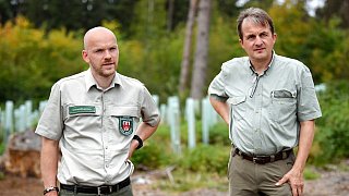 Überlebenskampf des Stadtwaldes im Teuto