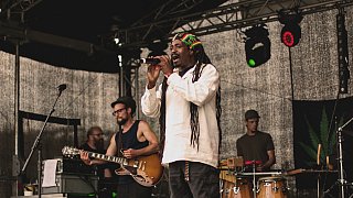Steinheim: Reggae im Hanffeld