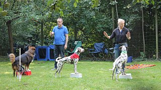 Viele Besucher beim Herbstfest zum 50. Jubiläum des Tierheimes