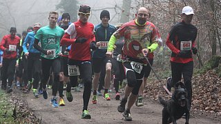 Laufvergnügen für Mensch und Hund in Rödinghausen