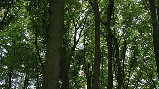 Rettungseinsatz abgestürztes Segelflugzeug in Porta