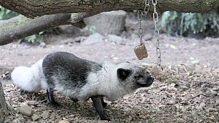 Die schönsten Fotos aus dem Tierpark Waldfrieden