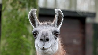 Die schönsten Fotos aus dem Tierpark Waldfrieden