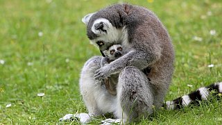 Die schönsten Fotos aus dem Tierpark Waldfrieden