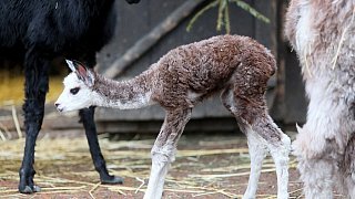 Die schönsten Fotos aus dem Tierpark Waldfrieden