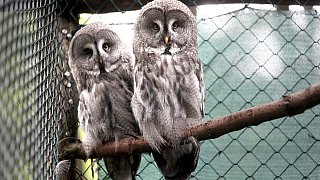 Die schönsten Fotos aus dem Tierpark Waldfrieden
