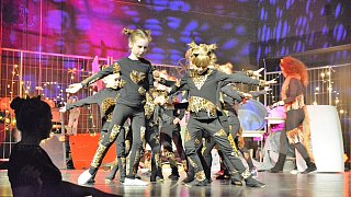 TSV-Jazztanz, Musical Dancing Cats