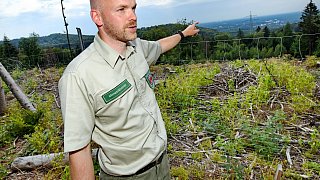 Überlebenskampf des Stadtwaldes im Teuto