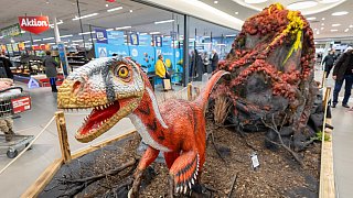 Paderborn: Diese Dinosaurier sind in der Stadt zu sehen
