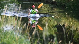 Fischesterben in der Ems: THW pumpt Wasser aus dem Fluss