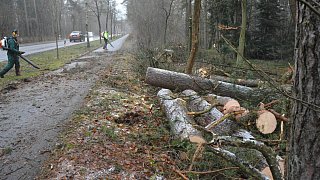 Oerlinghausen: Sturmschäden nach Orkan Friederike