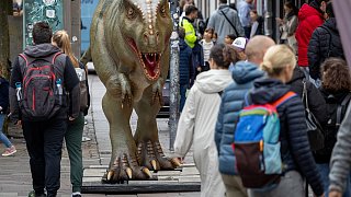 Paderborn: Diese Dinosaurier sind in der Stadt zu sehen