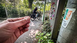 Fotos der Woche