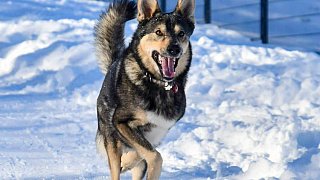 Bünde: Die schönsten Winterfotos aus dem Bünder Land