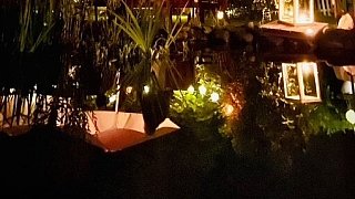 Der Garten von Lore und Dieter Halstenberg in Bad Oeynhausen