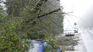 Oerlinghausen: Sturmschäden nach Orkan Friederike