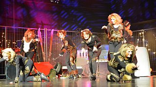 TSV-Jazztanz, Musical Dancing Cats