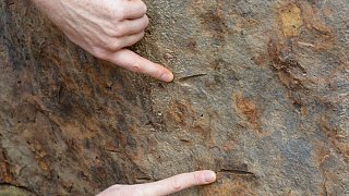 Fossiler Fund unterhalb der ehemaligen Jugendherberge