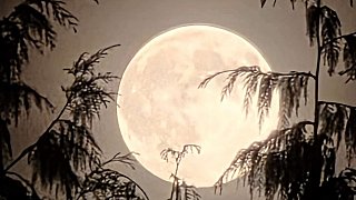 Supermond am 5. November über OWL