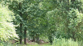 Garten von Mareike Hübner aus Löhne
