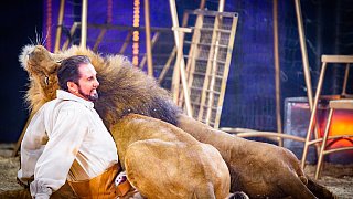 Zirkus Krone feiert Bielefeld-Premiere mit 