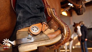 Die Unterschiede zwischen Western- und Englischreiten