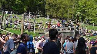 Stemwede: Über 4.000 Besucher beim Festival 