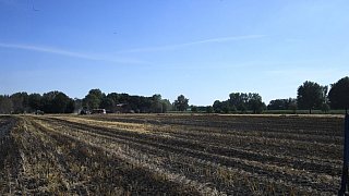 Stoppelfeldbrand in Niehorst