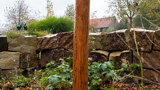 Ökologisches Gemeinschafts-Grabfeld in Herford