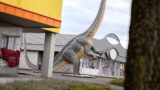 Paderborn: Diese Dinosaurier sind in der Stadt zu sehen