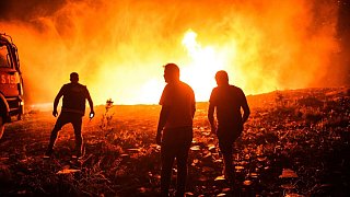 Hunderte Waldbrandeinsätze auf Sizilien - Hitze in Südeuropa