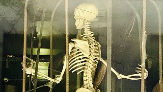 Bielefeld: Halloween an der Wertherstraße und am Boulevard