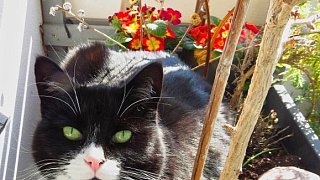 Kreis Höxter: NW-Fotoaktion Frühlingsanfang im Garten