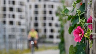 Neue Wörter rund um die Corona-Pandemie