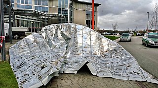 Vor zehn Jahren: Als Kyrill in Gütersloh stürmte - und wie es heute aussieht