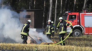 Stoppelfeldbrand in Niehorst