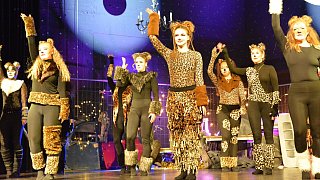 TSV-Jazztanz, Musical Dancing Cats