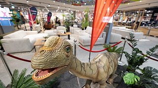Paderborn: Diese Dinosaurier sind in der Stadt zu sehen