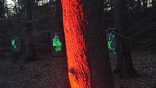 Bad Lippspringe: Waldleuchten auf dem Gartenschaugelände