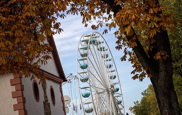 Mitte Oktober findet in Paderborn passend zu den Ferien Herbstlibori statt (Archivbild). - © Niklas Tüns
